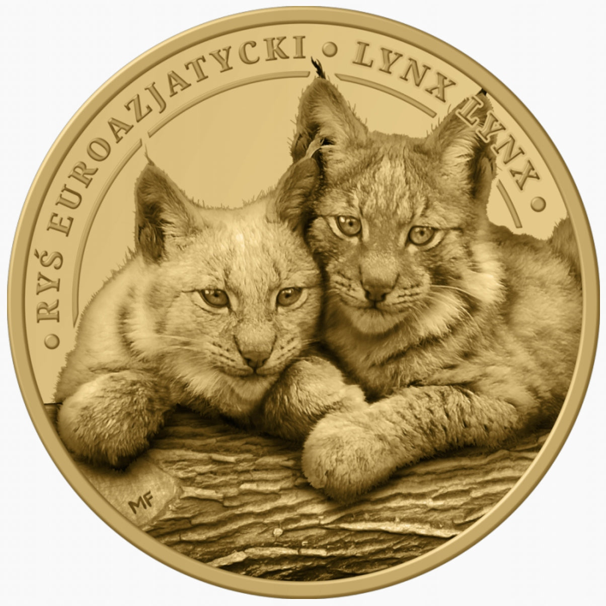3 DENARY – Zwierzęta Polski: RYŚ + FOLDER