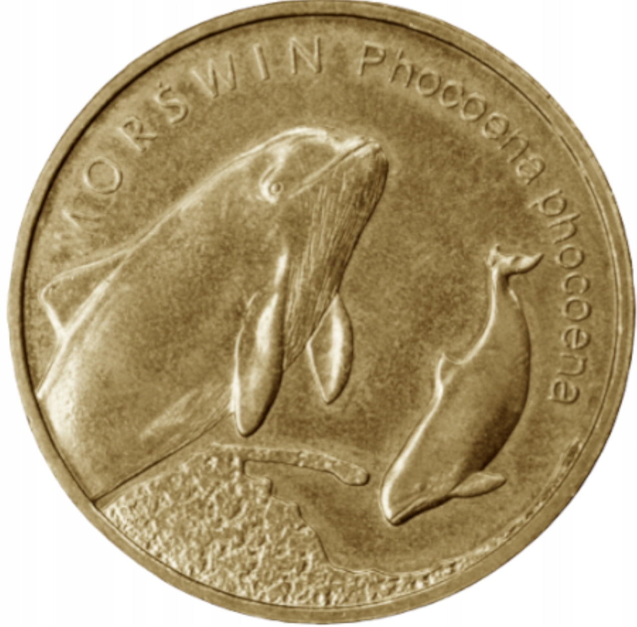 2zł Morświn Phocoena phocoena : Zwierzęta świata