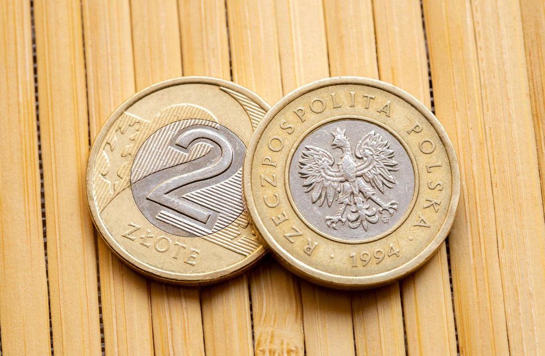 Monety 2 złote z serii okolicznościowej: Od czego zacząć swoją przygodę z numizmatyką?