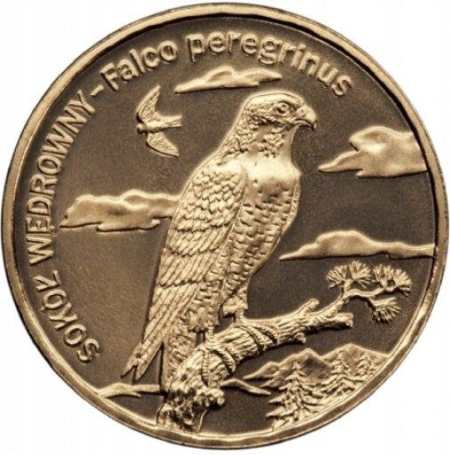 2zł – Sokół wędrowny łac. Falco peregrinus – 2008