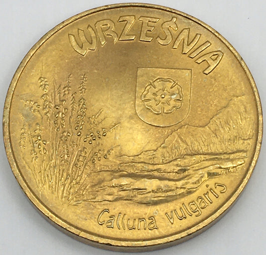 6 WRZOSÓW – WRZEŚNIA – ODWROTKA – 2010