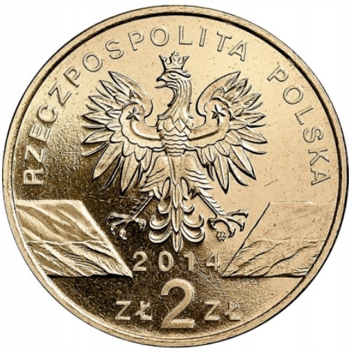 2 ZŁ 2014 Konik polski łac. Equus caballus gmelini