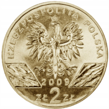 2 ZŁ  Jaszczurka zielona 2009