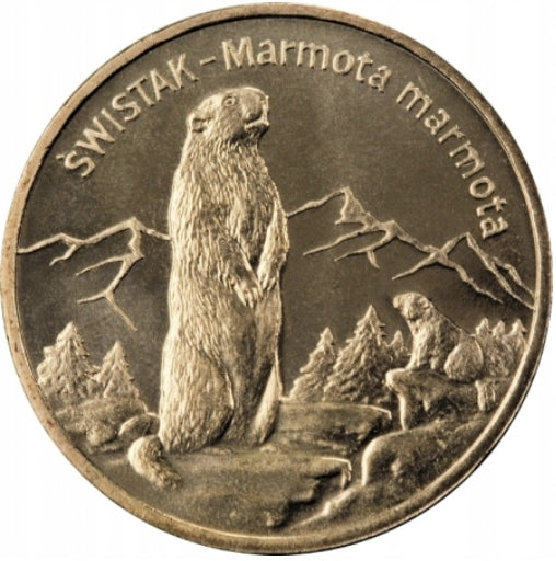 2zł Świstak (łac. Marmota marmota)