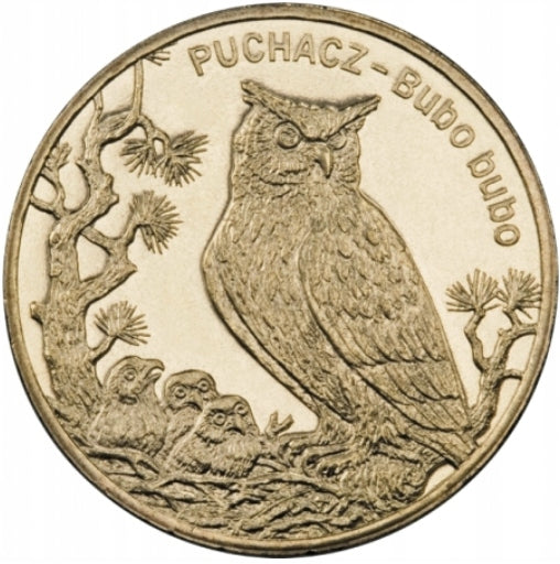 2zł Puchacz (łac. Bubo bubo)