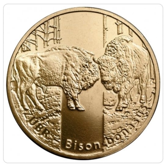 2ZŁ 2013 ŻUBR – Zwierzęta świata